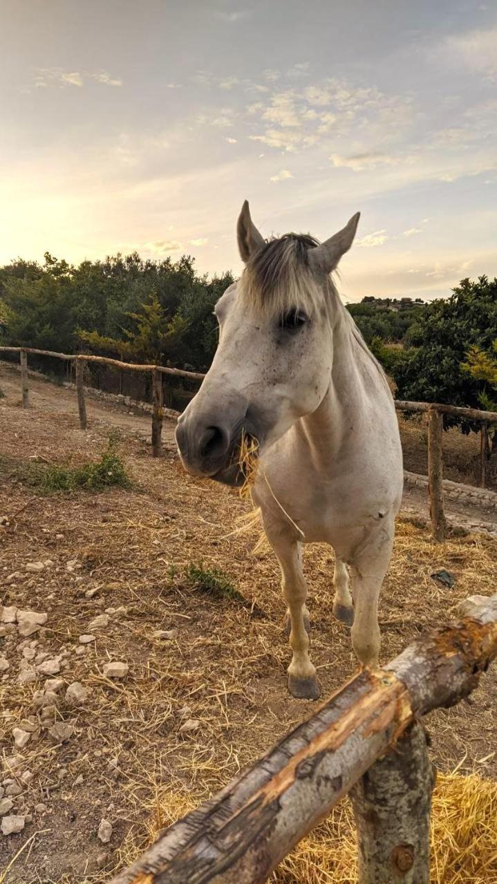 ホテル Roba Albanisi Aragona エクステリア 写真